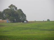 Панасівка з panoramio.com