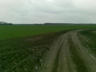 Єлизаветівка з panoramio.com