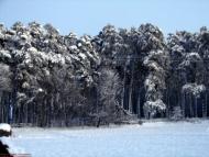 Карасиха - Останні фото