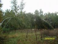 Піски з panoramio.com