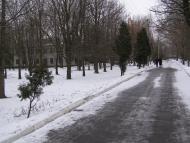 Олександрівка з panoramio.com