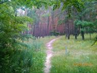 Подвірки з panoramio.com