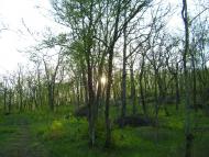 Кизилівка з panoramio.com