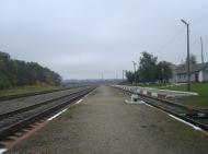 Буйволівці з panoramio.com