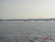 Стайки з panoramio.com