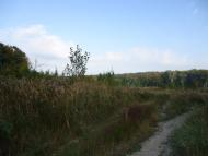 Воля-Добростанська з panoramio.com