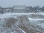 Лупареве з panoramio.com