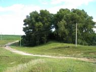 Шевченкове з panoramio.com