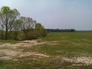 Облапи з panoramio.com