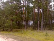 Горошківка з panoramio.com