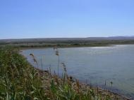 Насипне з panoramio.com