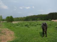 Волиця з panoramio.com