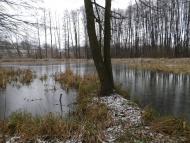 Будище з panoramio.com