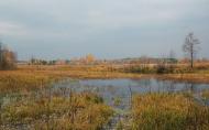 Полиці з panoramio.com