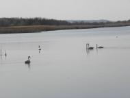 Байбузівка з panoramio.com