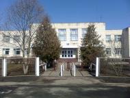 Нова Олександрівка - Останні фото