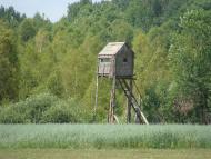 Тиховиж - Останні фото