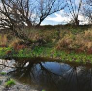 Стриганка з panoramio.com