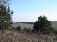 Новобахмутівка з panoramio.com - Новобахмутовка