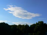 Бояни з panoramio.com