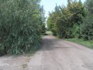 Кокозівка з panoramio.com