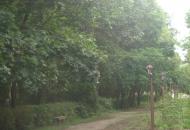 Луч з panoramio.com