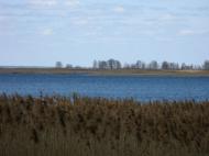 Лошакова Гута з panoramio.com