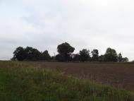 Панасівка з panoramio.com