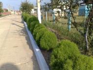 Лиман з panoramio.com