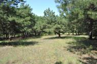 Труд-Гребеник з panoramio.com