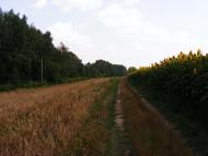 Примощаниця з panoramio.com