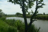 Юльївка з panoramio.com