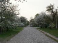 Жовнине з panoramio.com