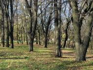 Ясинувата з panoramio.com