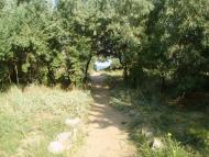 Войкове з panoramio.com