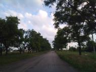 Родники - Останні фото