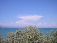 Андріївка з panoramio.com