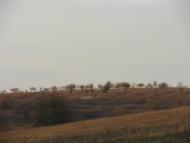 Гать з panoramio.com