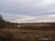 Скоморохи з panoramio.com