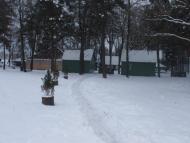 Сілець з panoramio.com