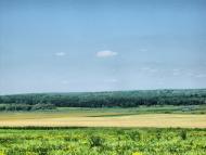 Пеньківка з panoramio.com