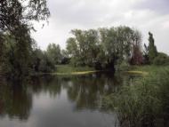 Пасічне з panoramio.com