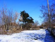 Охматів з panoramio.com