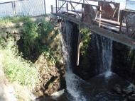 Харківці з panoramio.com