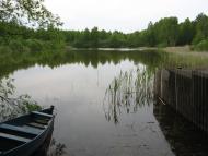 Новомутин з panoramio.com