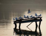 Вільноандріївка з panoramio.com