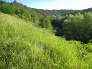 Миньківці з panoramio.com