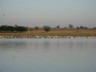 Приморське з panoramio.com