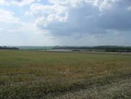 Лукове з panoramio.com