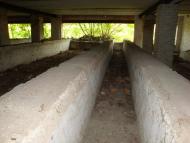 Ракшівка з panoramio.com